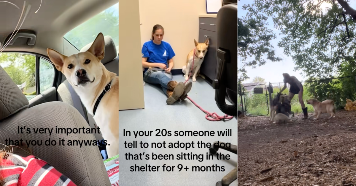 woman with rescue dog