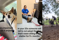 Dog Owner Showed People How The Pooch She Rescued Is Now Thriving
