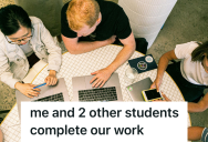 College Students Were Assigned A Programming Project With A Teammate Who Refused To Participate, So When She Claimed Their Work, The Professor Failed Her