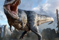 The T-Rex’s Mouth Is Massive, So How Many Teeth Did It Have? Maybe Not As Many As You Might Think, But They Were Very Large.