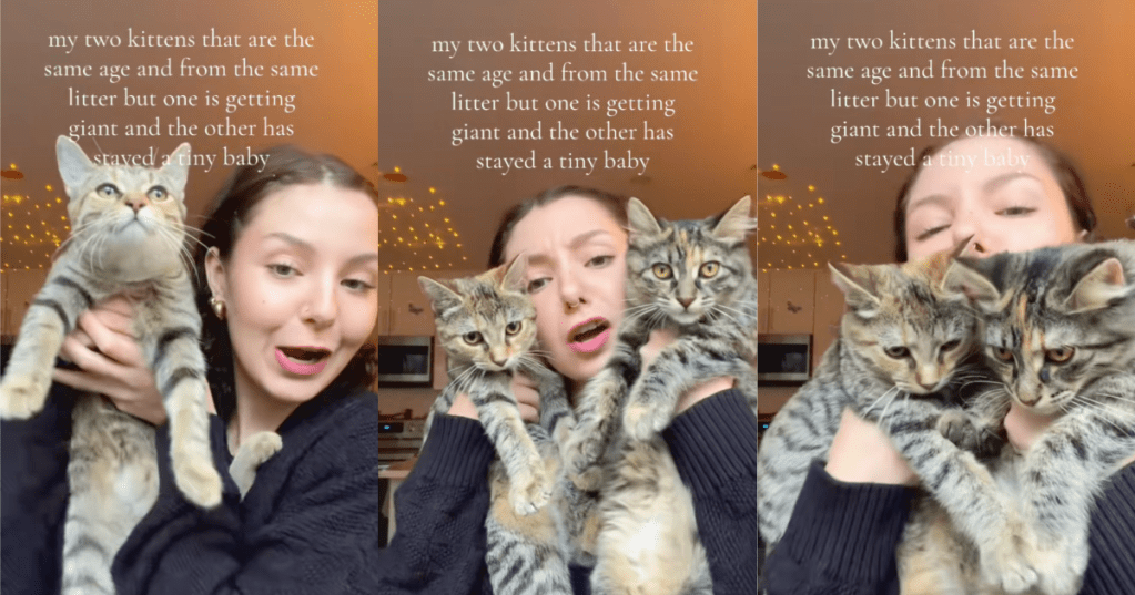 woman with two cats