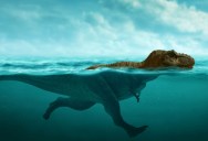 Could A T-Rex Really Swim Through The Water? Evidence Suggests That It Was Likely A Surprisingly Good Swimmer.