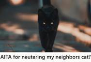 Man Finds A Cat With No Tag Or Microchip And Takes Care Of It For A Week Before Getting It Neutered, But The Owner Shows Up Afterward Angry Because He Wanted To Breed It