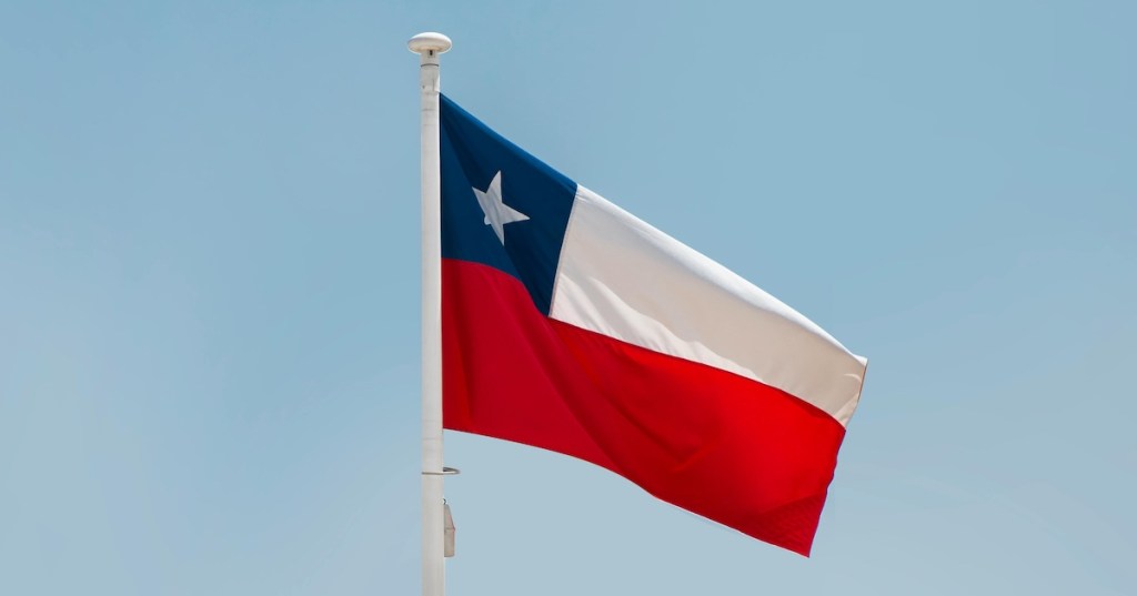 The Chilean flag on a pole
