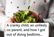 Her Daughter Told Her That She Loved Her Plant Just As Much As Her Parents, So Mom Said That Her Plant Could Put Her To Bed Tonight Then