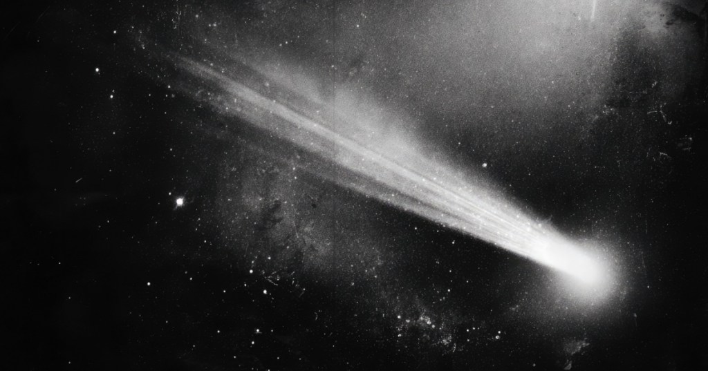 Halley's Comet
