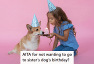 Sister Made It Compulsory For Everybody To Attend Her Dog’s Birthday, But The Other Sister Has Plans With Her Human Friends