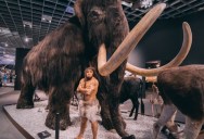 Study Reveals That Tools Made From 14,000-Year-Old Mammoth Ivory Were Likely Used By The Ancient Clovis People