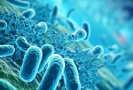 Research On Using Microbial Fingerprinting Is Mounting, Which May Lead To A New Forensic Tool That Can Place Criminals At The Scene Of A Crime Even Years After The Fact