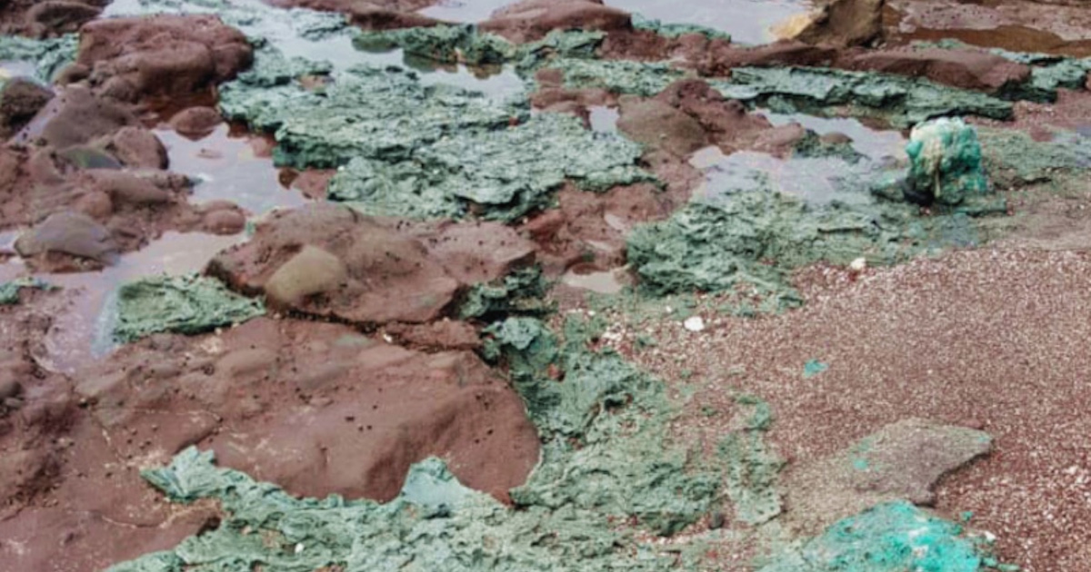 'Plastic rocks' on the beach