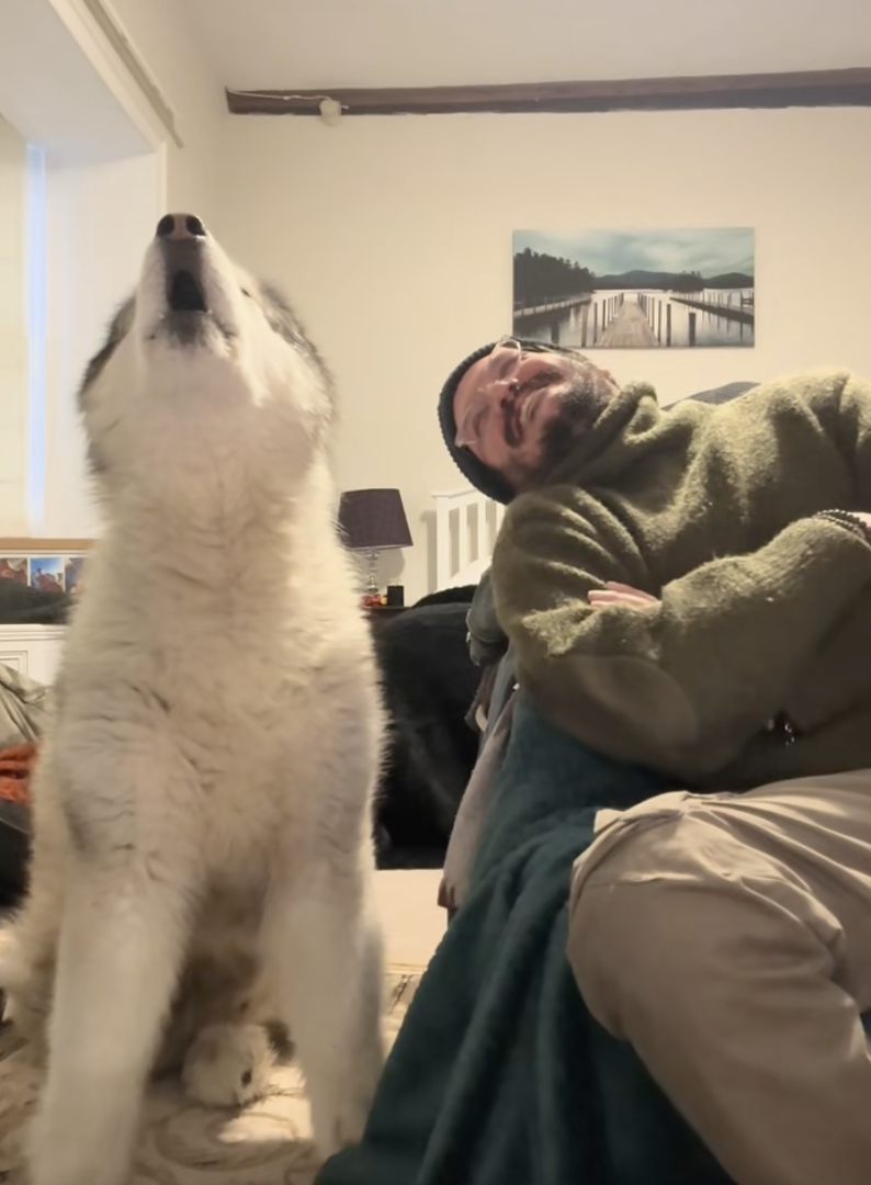 dog singing along with music