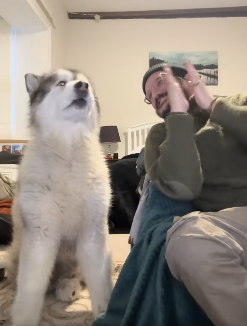 dog singing along with music