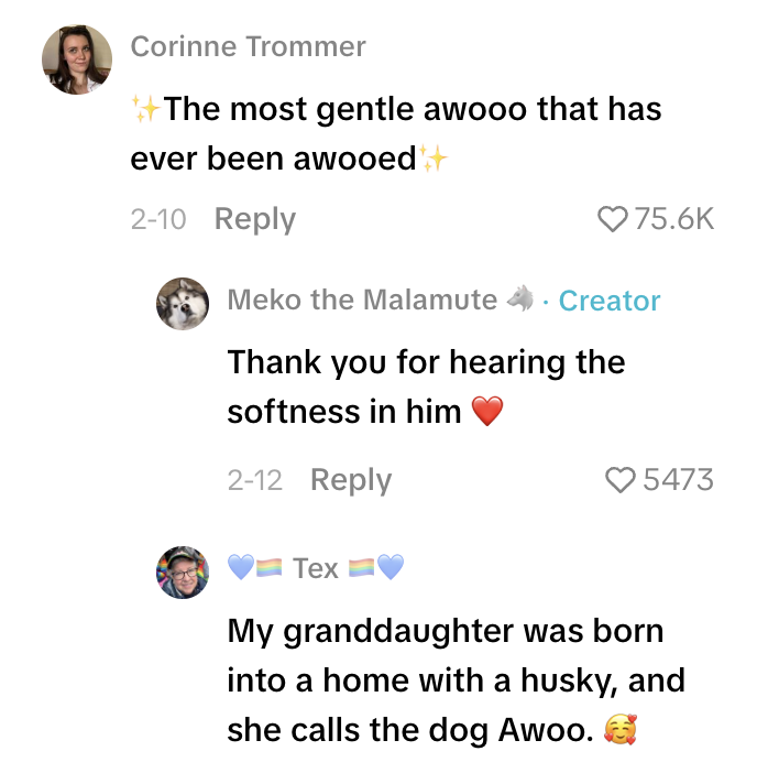 Screenshot 2026 03 01 at 11.19.15 AM A Dog Sang Along When He Heard Opera Music