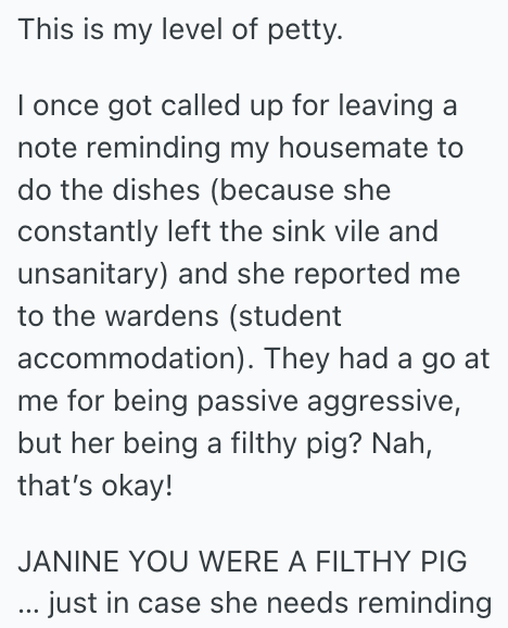 Roommate Had High Standards When It Came To Housework, So When The ...