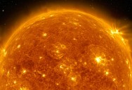 The Sun Recently Erupted With Many Major Solar Flares, Including One That Was In The Top 20 Strongest Measured In Over 30 Years