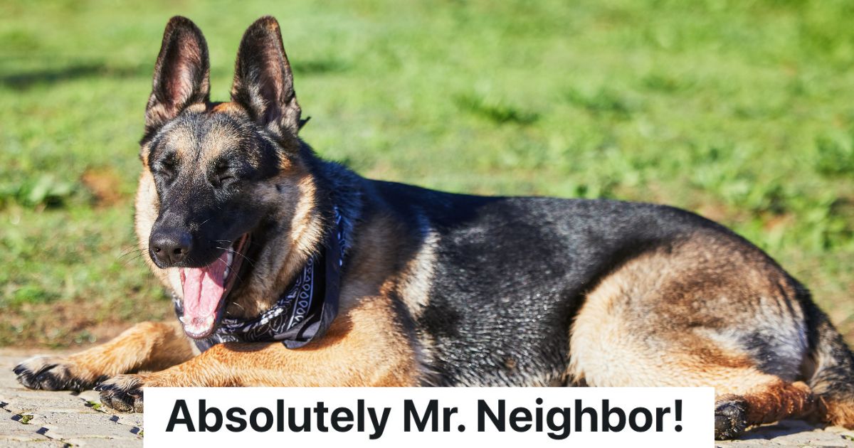 Weird Man Asks Neighbor To Keep Their Dog Inside Until 7am Each Day, So The Neighbor Complies In The Most Annoying Way Possible German Shepherd dog lying outside yawning
