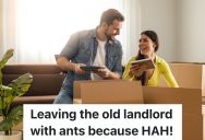 Couple Moves Out Of Apartment Knowing There Is An Ant Infestation, But They Never Tell The Landlord About The Invasion