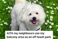 Man Is Annoyed That Neighbors Use The Area Behind His Balcony As An Off Leash Dog Park, But They Got Mad At Him When He Called Them Out On It
