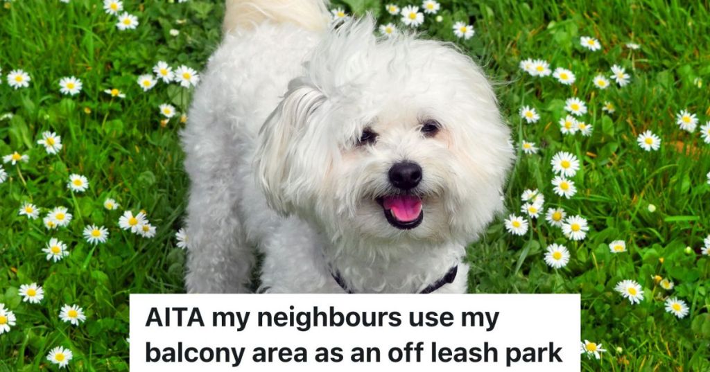 white dog in the grass