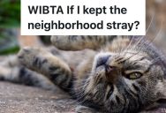 Woman Wants To Adopt The Stray Cat In The Neighborhood, But Another Neighbor Is The Unofficial Owner