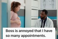 Woman Worked At A Job While Pregnant With High-Risk Twins, But Her Boss Complained About Appointments And Sick Days Despite Her Health Needs