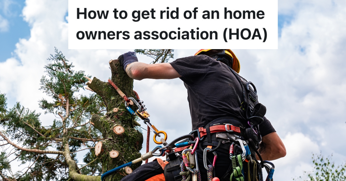 tree trimmer cutting down a tree