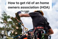 HOA Board Members Cut Down Homeowner’s Trees Without His Permission, So He Takes Them To Court And Wins