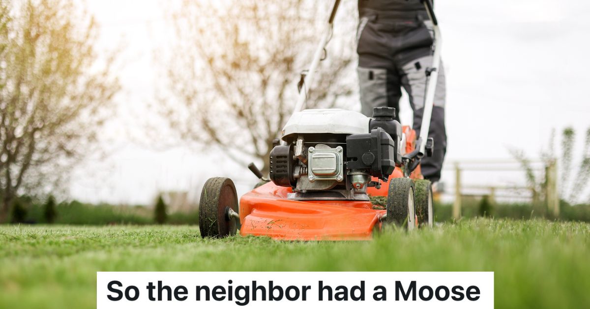 Dad Is Furious While Mowing The Front Yard, So His Children Follow His Instructions To Get Revenge On The Neighbors man mowing grass with lawn mower