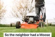 Dad Is Furious While Mowing The Front Yard, So His Children Follow His Instructions To Get Revenge On The Neighbors