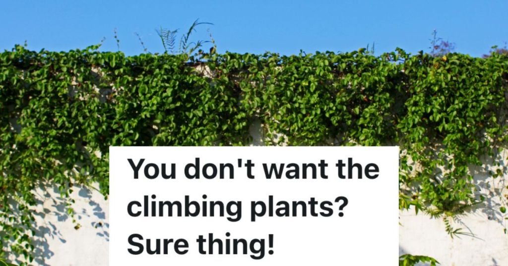 green vines growing over a tall fence