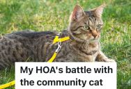 Stray Cat Follows Homeowner When He Walks His Dogs, But The HOA Claims The Cat Is His Pet And Needs To Be On A Leash