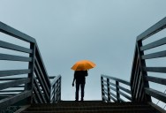 After An El Niño in 2024 And La Niña In 2025, The World Meteorological Organization Predict What 2026 Has In Store For Us