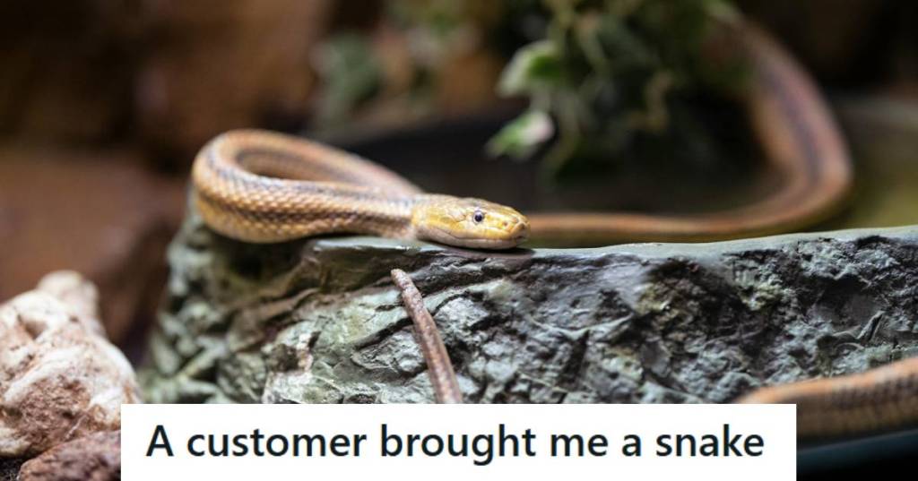 Dekay's brown snake being held captive