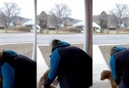 An Amazon Driver Played With A Cute Puppy On A Delivery