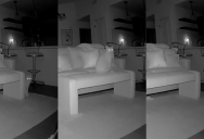 An Owner Saw Her Cat Waiting All Night For Her To Come Home On A Pet Camera