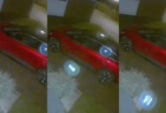 A Woman Saw A Strange Light On Her Home Security Camera In The Middle Of The Night