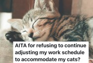 Mom Says It’s a “Sin” to Leave the Cats Alone, But This Owner Refuses to Keep Rearranging Her Work Schedule