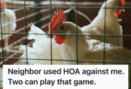 Homeowner Added Chickens To His Property Believing He Followed HOA Guidelines, But His Rule Obsessed Neighbor Filed A Complaint And Ended Up Losing