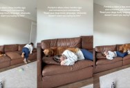 A Dog Didn’t Get The Message When His Owner Tried To Put Some Space Between Them On Her Couch