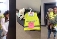 A Woman Left A Nice Present For A Lady Who Cleans Up Garbage With Her Dog Every Morning