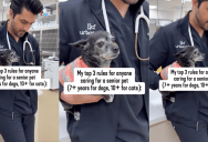 A Veterinarian Shared Important Tips For Taking Care Of Senior Dogs And Cats