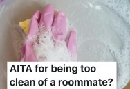 Roommates Leave Dishes Rotting And Never Clean Shared Spaces, So She Starts Cleaning Daily And Gets Labeled “Too Much”