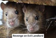 College Students Find Out There Are Rats In The Walls Of Their Rental House, But The Landlord Does Nothing To Fix The Problem