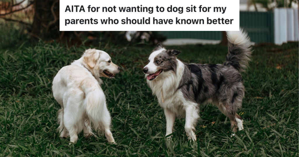 Two Australian Shepherds standing in grass.