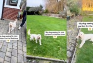 A Dog’s First Look at His New Backyard Has Everyone Smiling