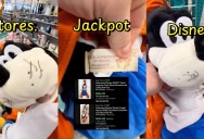 A Shopper Hit The Jackpot After He Found A Disney Stuffed Animal At A Thrift Store