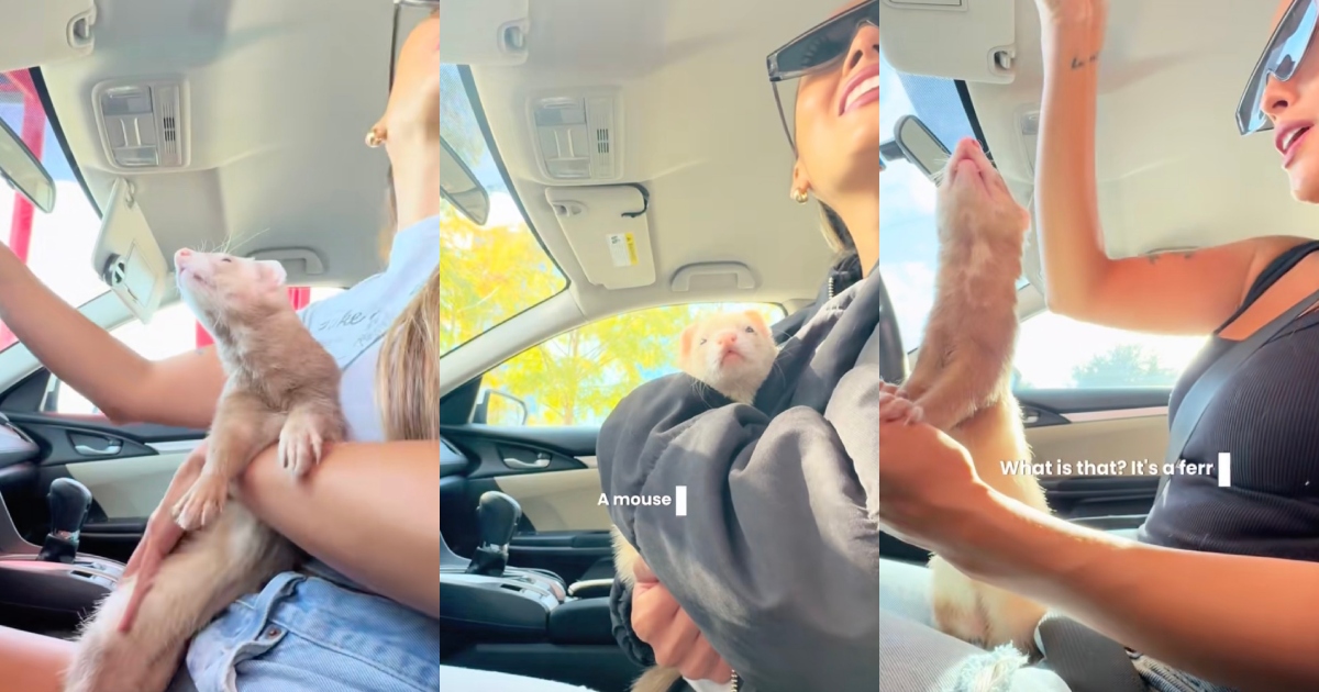 woman with a ferret