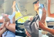 People Couldn’t Stop Reacting When One Woman Brought Her Ferret Out in Public