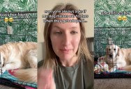 An Owner Showed People How Much Her Pooch Misses Her Foster Dog Who Got Adopted