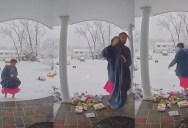 A Homeowner Couldn’t Believe How A Rude Delivery Person Dropped Off Groceries On Her Porch
